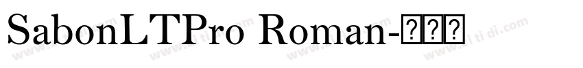 SabonLTPro Roman字体转换